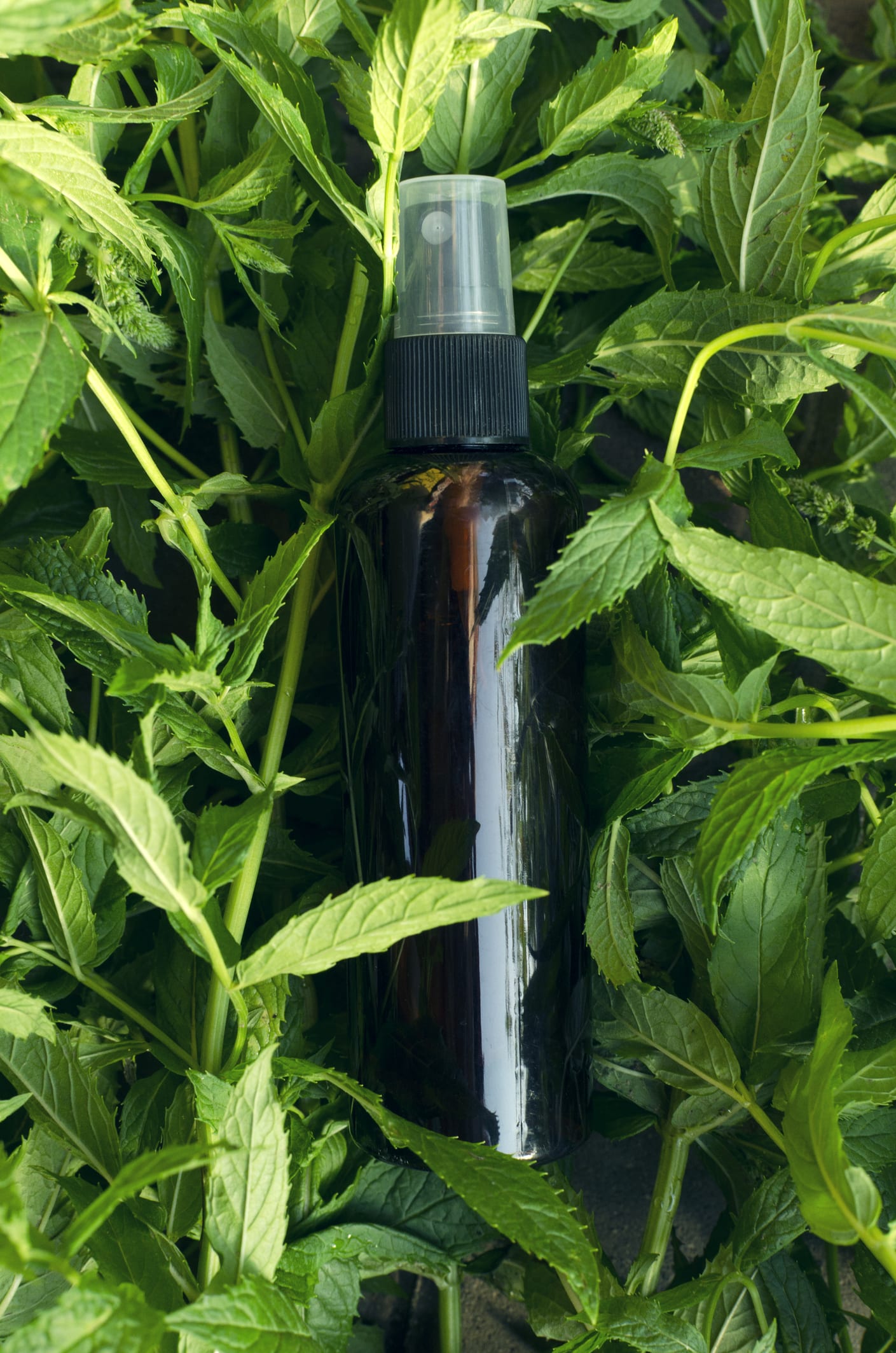 Cosmetic spray mist